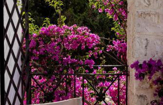 Mount Minis - Casa Bruno - Foto 34