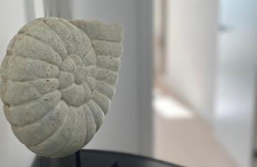 APARTAMENTO A ESTRENAR en FOZ COFRADIA DELUXE - Foto 15