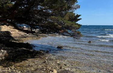 St Aygulf, appartement climatisé 70m2, piscine privée , 4 personnes - Foto 21