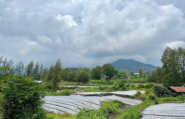 Batur Sunsun Kintamani - Foto 40