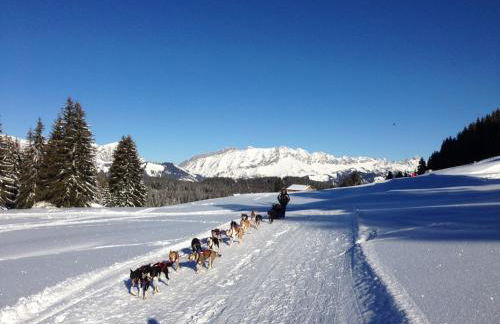 Appartement dans chalet aux saisies-100m des pistes-cœur station 13 pers - Foto 38