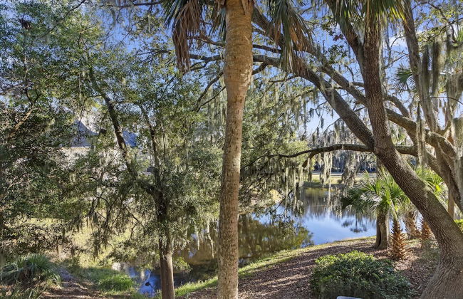 Evian by Hilton Head Retreats - Foto 36