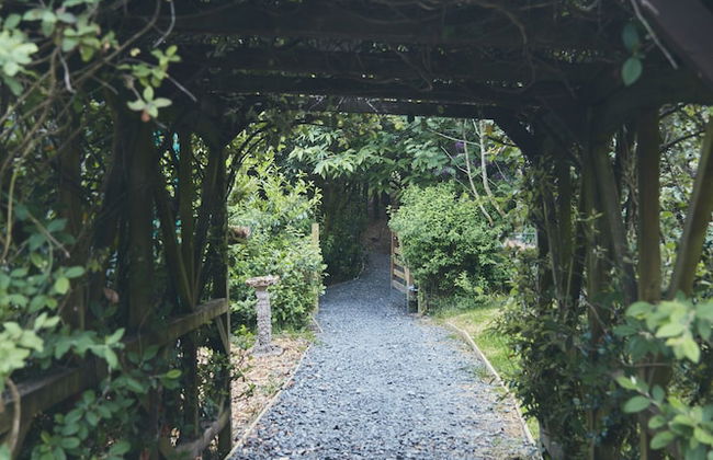 Mushroom Yurt set in 4 Acres of Woodland and Lakes - Foto 29