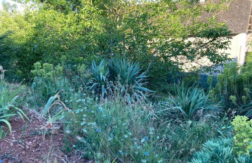 Logement indépendant, de plain pied, à Rodez Aveyron - Photo 9