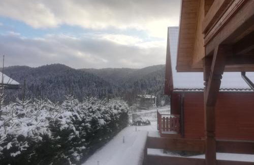 Domki pod Honem w Cisnej - Foto 26