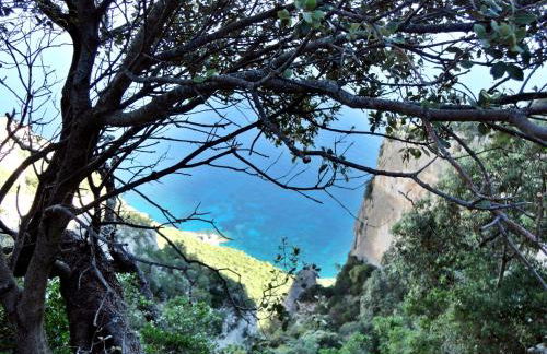 Appartamenti Le Mimose - Foto 50