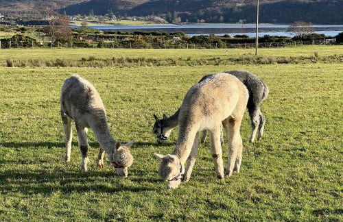 Croft 11 Clovullin - Photo 42