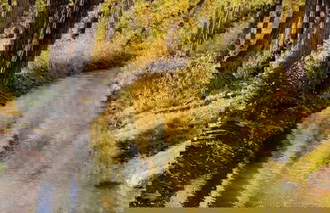 NEW 3bed 2bath With Creek and Open Spaces - Foto 18