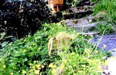 Mellow Mountain Eco Retreat Wales Hot-Tub Sauna - Foto 22