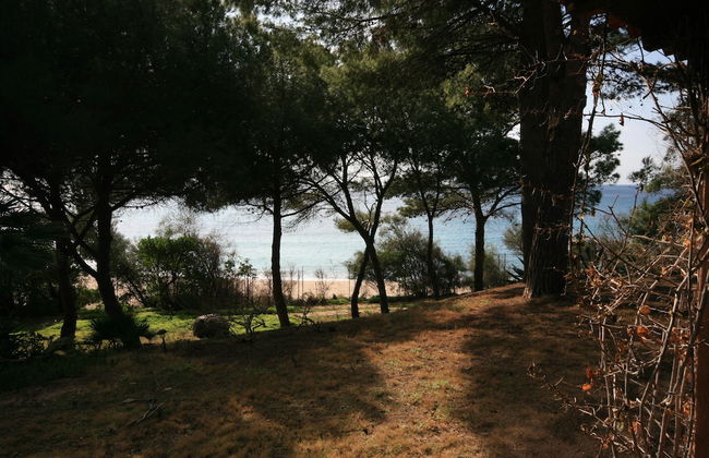 Villa Luisa - Photo 61