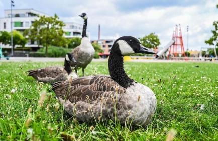 Dimoro Family Suites - Designed for your comfort - Foto 58