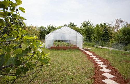 Apartments Gorančica - Foto 33