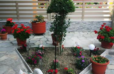 Dimitra's Apartments - Foto 8