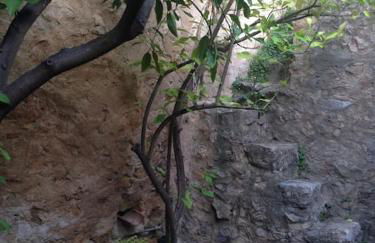 Le Baguier, maison de caractère dans hameau typique provençal - Foto 27