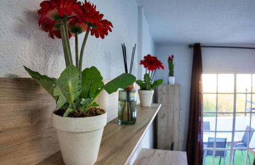 Apartalux Gold Oasis - Foto 25