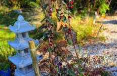 Domek w Karkonoszach - Foto 46