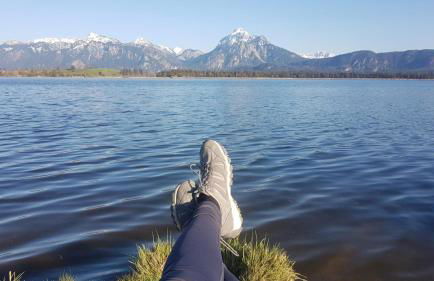 neuschwanstein-blick - Photo 52