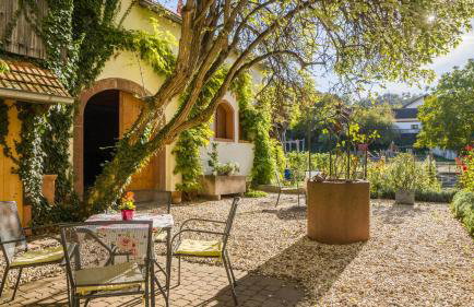 Ferienwohnungen Altes Rathaus - Foto 8