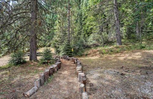 13 Mi to Mt Shasta Log Home on 60 Acres! - Foto 34