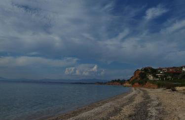 Evilion- Potidaia- Halkidiki- 100m from the sea - Foto 4