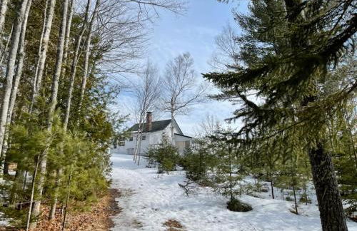 Waterfront Wildflower Cottage with Private Dock! - Foto 23