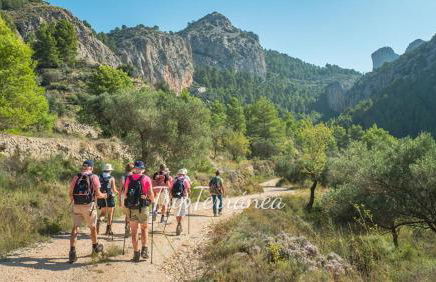 CASA DE PRINCESAS - Foto 55