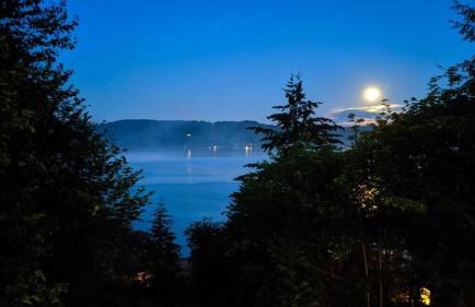 Hoodsport Memory - Beach View, Oysters & Near Olympic Forest - Foto 25