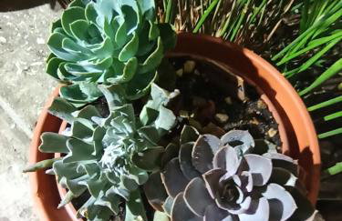 Apartmani Mislav - Photo 40