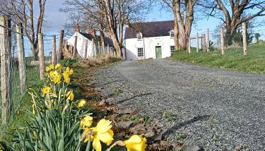 Jackdaw Cottage - Foto 4