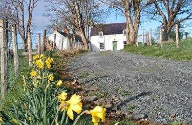 Jackdaw Cottage - Photo 4