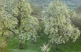 Four Seasons Apartment Ski Access & Mountain Views - Foto 71