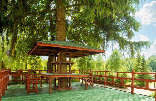 Agroturystyka przy Trakcie w Krzywem - Foto 13