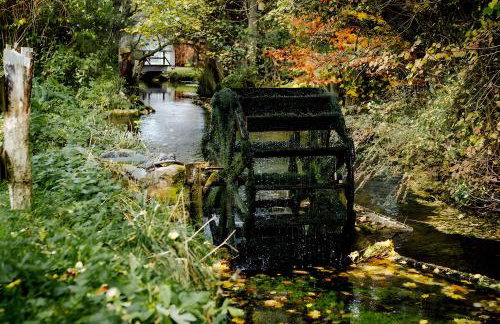 Fewo Waldfeeling - Photo 17