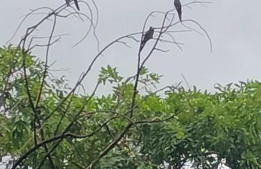 Studio Flat Casal com ar condicionado - Foto 19