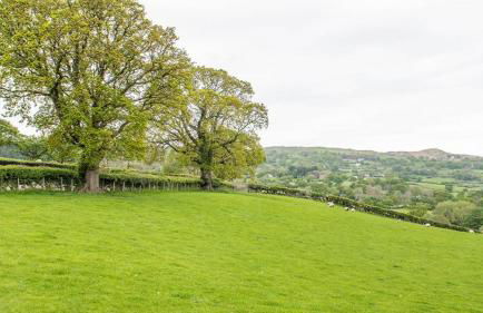 Bwthyn Tan Dderwen - Foto 21