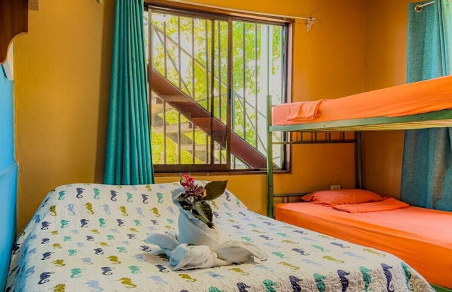 Pura Natura Lodge - Foto 13