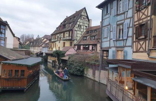 Le nid des cigognes à Colmar centre, proche gare, marchés de Noël - Foto 17
