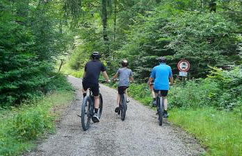 Haus Am Waldesrand - Foto 28