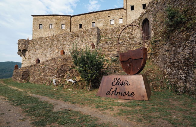 tenuta castel dell'aquila - Photo 38