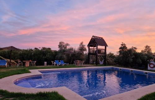 Molino la Nava - Foto 9