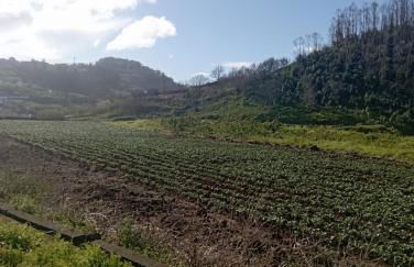 Village Sea House - Porto Moniz - Foto 9