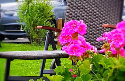 Ferienhaus Linder - Foto 8