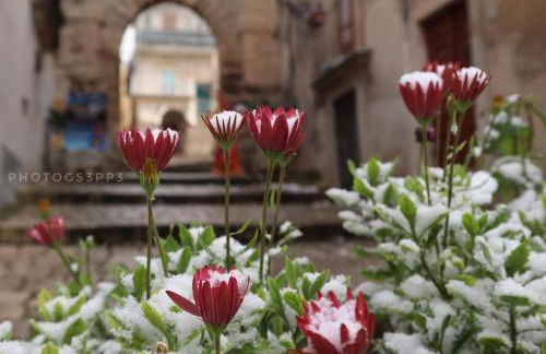 Nonnalù Holiday Home - Foto 30