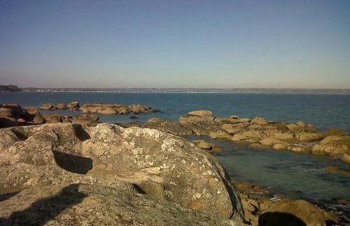 La Glycine - Foto 12