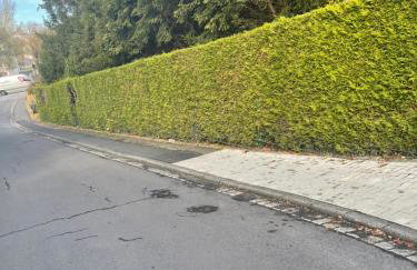 Moderne, ruhige Ferienwohnung , ideal zum Abschalten - Foto 36