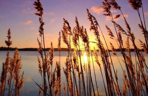 Trautes Heim Ferienwohnung Süd - Foto 14