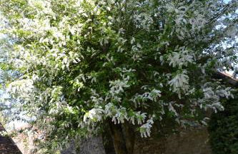 Gîte de charme proche du Zoo Beauval et Châteaux - Photo 51
