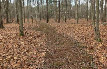 New Home with Game Room and Nature Trails in Port Huron - Photo 4