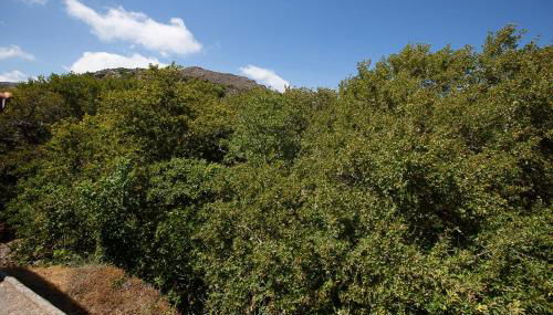 Michalis studio - Photo 2