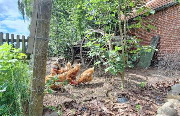 Ferienwohnung Eulennest, 35230 - Foto 6